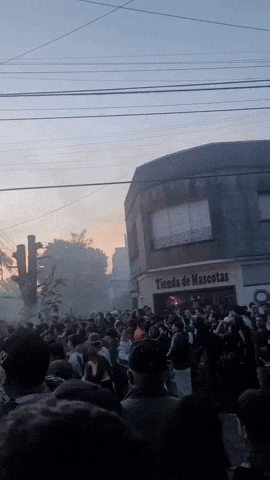 Lanus GIF