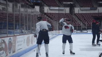 High Five Hockey GIF by SCStingrays
