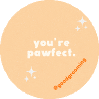 GoodGrooming Sticker