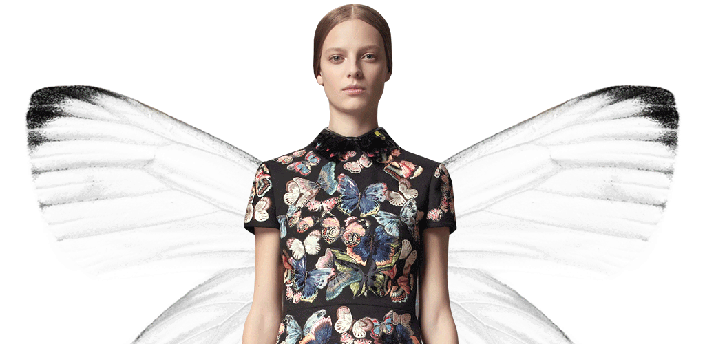 Zoology GIF Find & Share on GIPHY