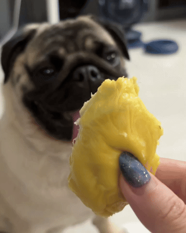 Happy GIF