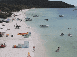 Vivuphuquoc GIF