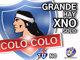 Colocolo Udechile GIF