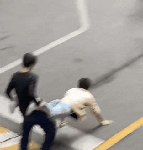 Cortis GIF