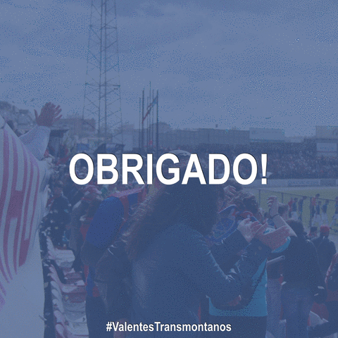 ajrdeoliveira gdchaves GIF