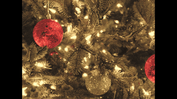 Merry Christmas GIF by Sierra Ferrell