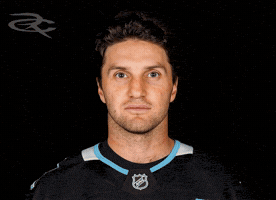Nashville Predators GIF by Respective