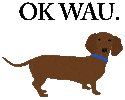 tnzrclothing Sticker