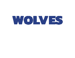 Wolves Up Sticker by Tenth Street Times
