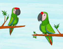 Kids Show Ara GIF