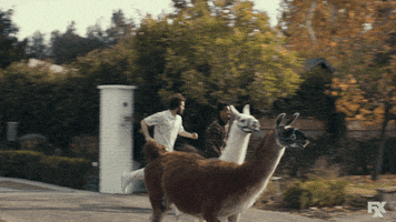 Lil Dicky Running GIF by DAVE