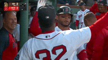 Red Sox Hug GIF by MLB