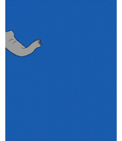 Zuckerstück+Peitsche GIF