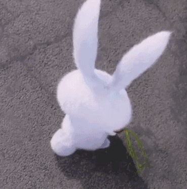 Cute Rabbit GIFs - Find & Share on GIPHY