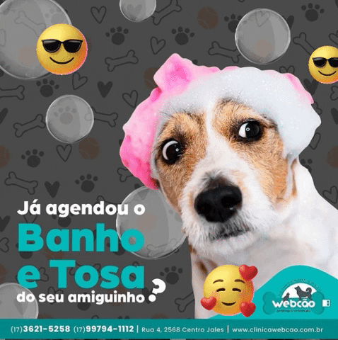 Webcao GIF