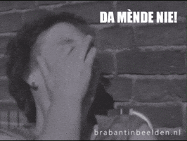 Brabants Slappe Lach GIF by BrabantinBeelden