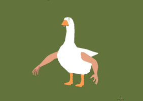 pitch goose GIF