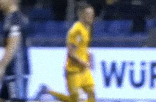 Chesnokov GIF