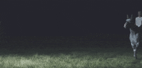 Boy Destroy GIF