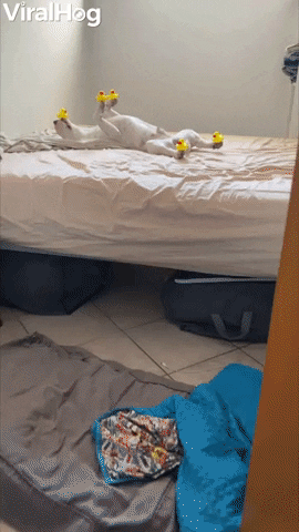 Snoozing Pup Acts As Rubber Ducky Display GIF by ViralHog