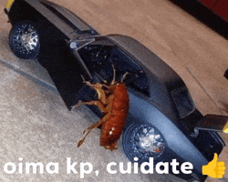 Cuidate GIF