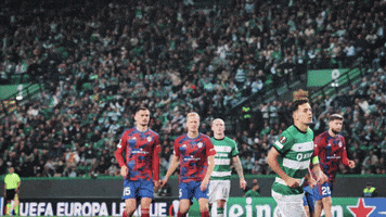 Celebration Goal GIF by Sporting CP
