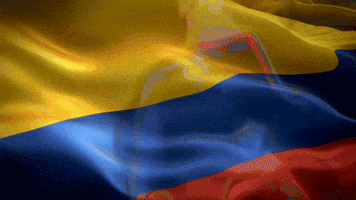 Miss World Colombia GIF by AndreaRomeroBre
