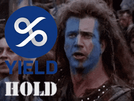 Hodl GIF by YIELD