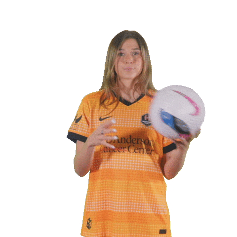 Womens Soccer Point Sticker by Houston Dash