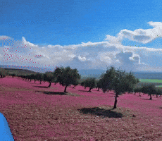 Afrin GIF