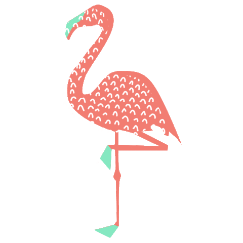 Summer Flamingo Sticker by Turisme Amposta
