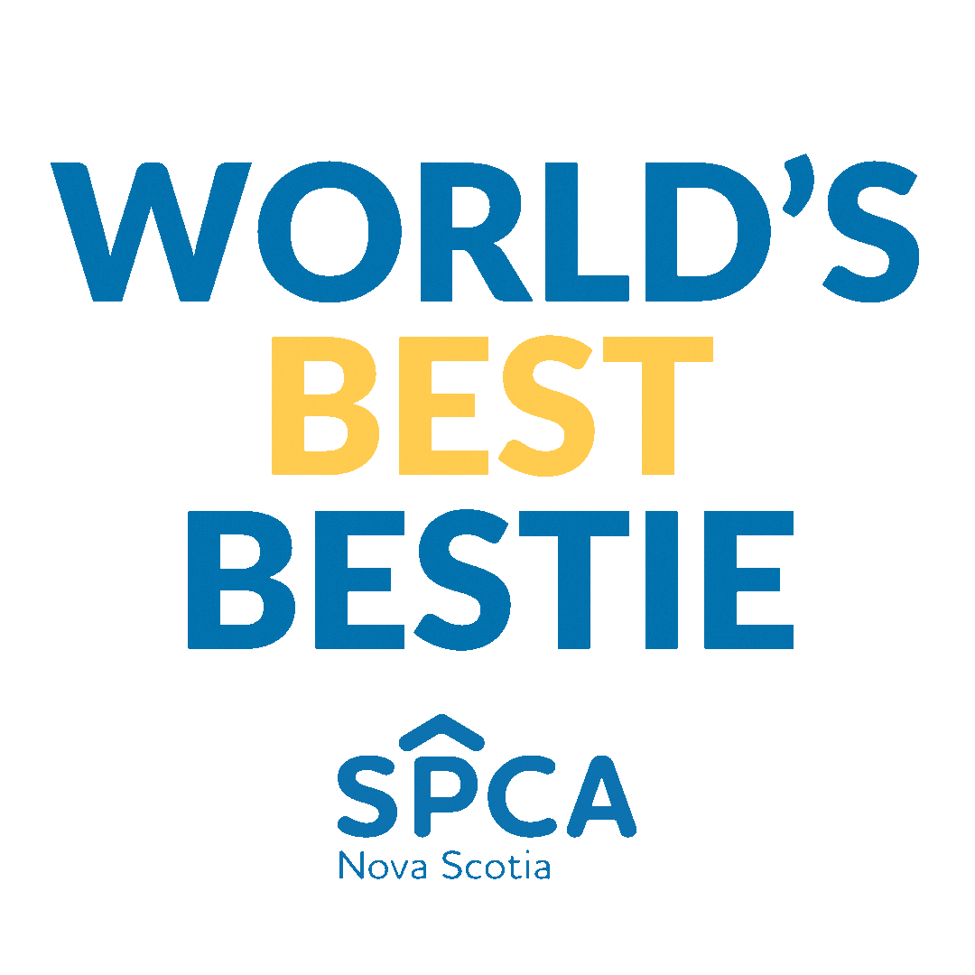 Nova Scotia SPCA Sticker