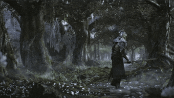 Dark Souls Forest GIF by BANDAI NAMCO