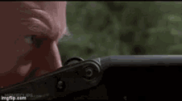 clever girl GIF