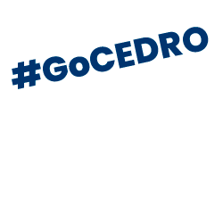 Cedro Technologies Sticker