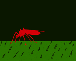 art mosquito GIF