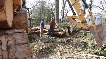 Landscaping Working GIF by JC Property Professionals