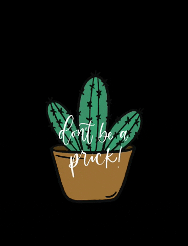 LittleChalkShop plants ouch cactus desert GIF