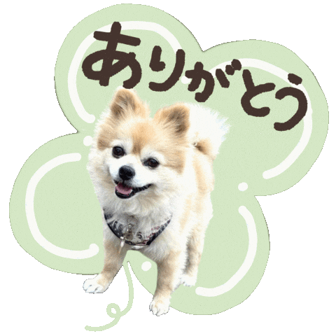 パルレオ Sticker