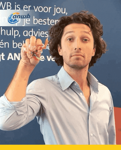 werkenbijanwb GIF