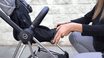 Stroller GIF