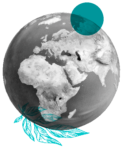 Cecarmun Sticker by UNICECAR