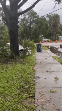 Debris Litters Tampa Street After Intense 'Microburst' Storm