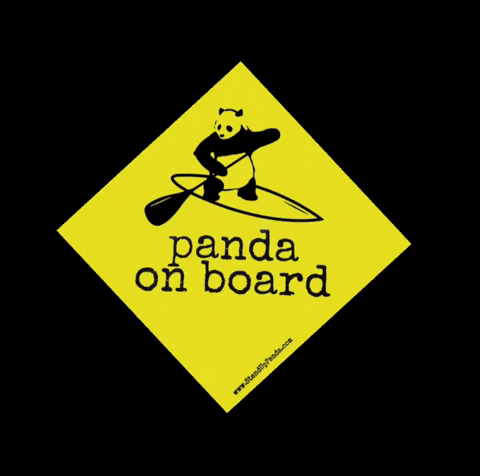 standuppanda panda sup paddleboard paddleboarding GIF