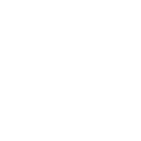 EESTEC Sticker