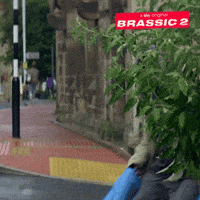 200.gif