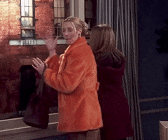 Season 5 Unsee GIF by Friends