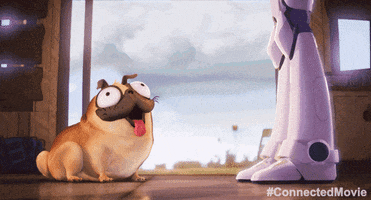 Good Boy Dog GIF by CONNECTED