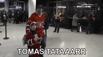 Ice Hockey Sport GIF by NHL