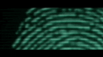Indie Film Movie GIF by Raven Banner Entertainment